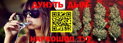 хмурый Дубна