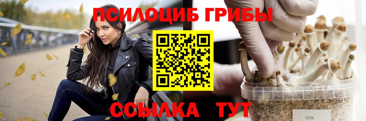 Магадан  Псилоцибиновые грибы Psilocybe  Вход с VPN 